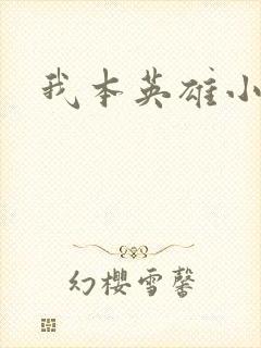 我本英雄小说