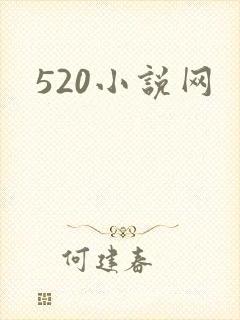 520小说网