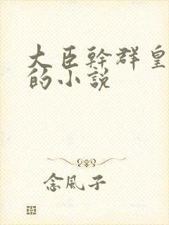 大臣干群皇太后的小说