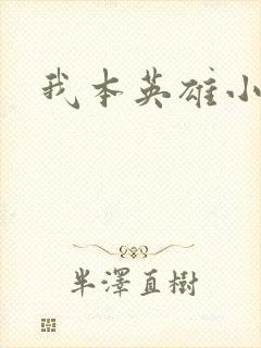 我本英雄小说