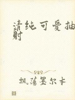 清纯可爱抽插内射