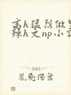 高h猛烈做哭高辣h文np小说