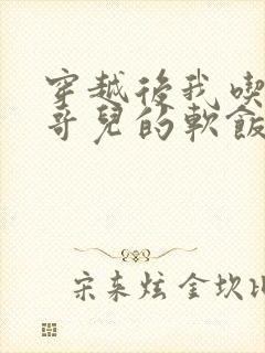 穿越后我吃到了哥儿的软饭炉山灰