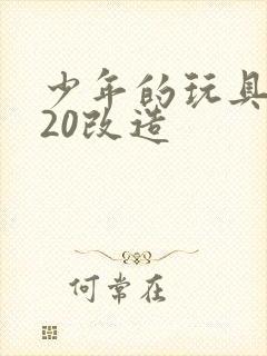 少年的玩具1一20改造