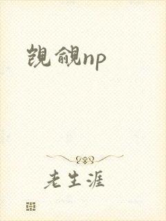 觊觎np