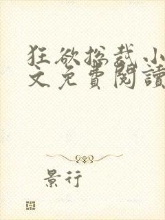 狂欲总裁小说全文免费阅读