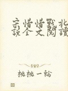 宋惜惜战北望小说全文阅读