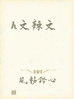 h文辣文