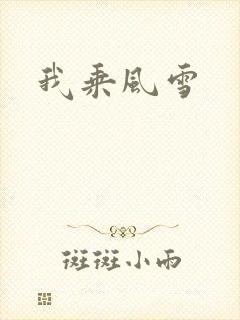 我乘风雪