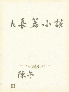 h长篇小说