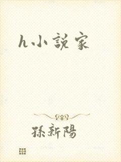 h小说家