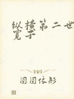 纵横第二世界 宽子