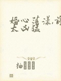 婚心荡漾,前夫太凶猛