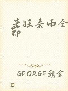 老旺秦雨全部章节