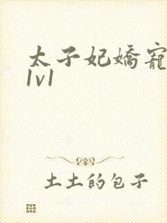 太子妃娇宠日常1v1