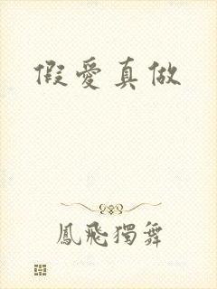 假爱真做