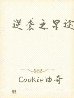 逆袭之星途闪耀