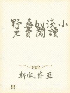 野桑by浅小说免费阅读