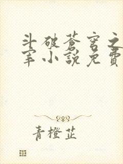 斗破苍穹之大主宰小说免费阅读全文