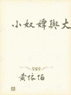 小奴婢与大少爷