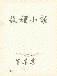 苏媚小说