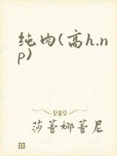 纯肉(高h.np)