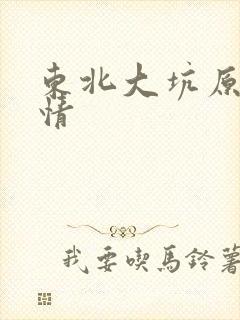 东北大坑原始激情