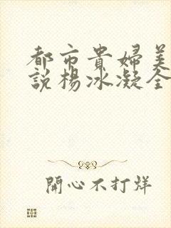 都市贵妇美腿小说杨冰凝全文阅读