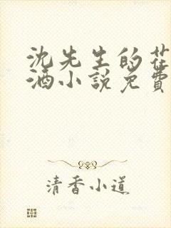 沈先生的花式调酒小说免费阅读