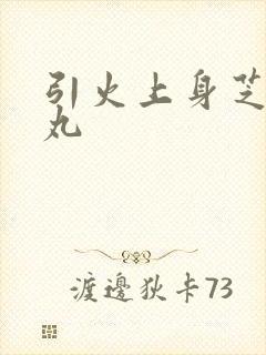 引火上身芝麻糖丸