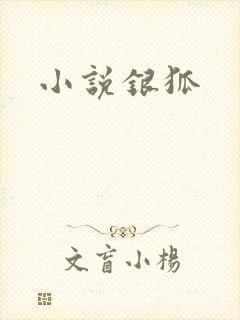 小说银狐