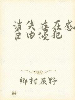 消失存在感消失自由侵犯