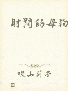 财阀的母狗们
