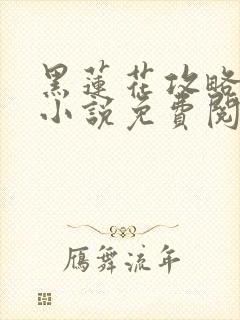 黑莲花攻略手册小说免费阅读