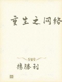 重生之网络大亨