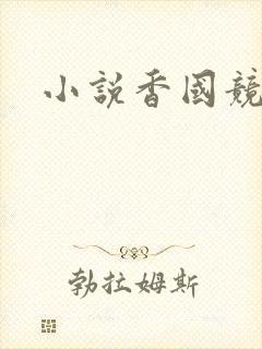 小说香国竞艳