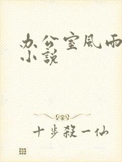 办公室风雨完整小说