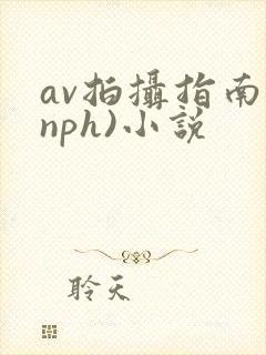 av拍摄指南(nph)小说