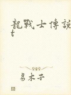 龙战士传说txt