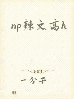 np辣文高h