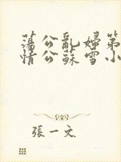 荡公乱妇第1章情公苏雪小说