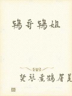 鸨哥鸨姐