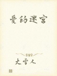 爱的迷宫
