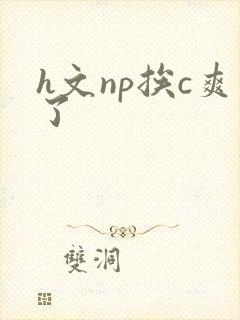 h文np挨c爽了