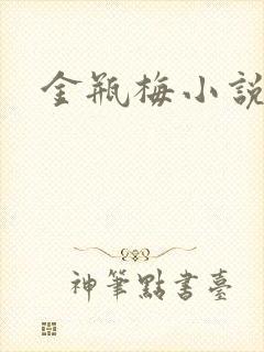 金瓶梅小说下载