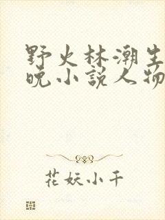 野火林潮生林晚晚小说人物野火