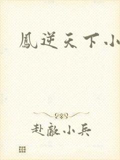 凤逆天下小说
