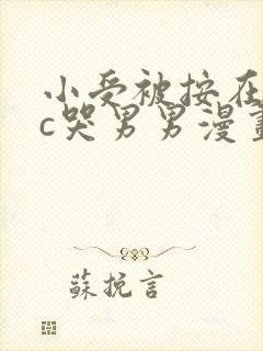 小受被按在墙上c哭男男漫画