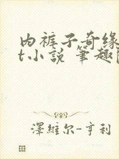 内裤子奇缘txt小说 笔趣阁