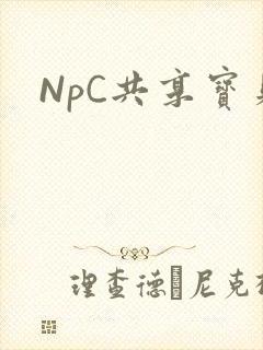 NpC共享宝贝